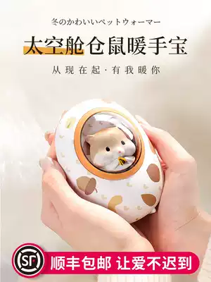 Handwarmer treasure warm baby rechargeable girls electric heater cute mini small explosion-proof hot water bag electric heater bag