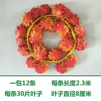 30 штук красного клена, 1 упаковка, 12 штук