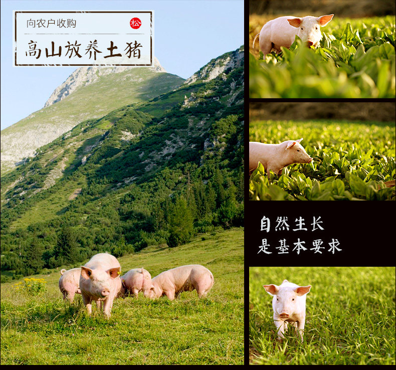 松桂坊 湖南湘西特產(chǎn)香腸