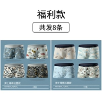 26033+26028 Pure Cotton Antibacterial [Pure Cotton Gelfare Package]