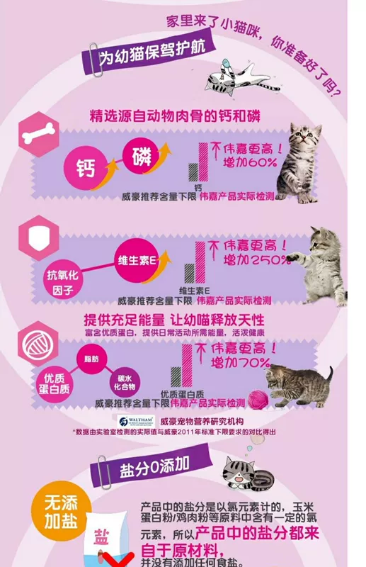 Weijia Kitten Cat Thức ăn cho mèo Thức ăn chủ yếu Thức ăn khô Thức ăn cho mèo Anh Mỹ tóc ngắn Hương vị cá hồi 1.2kg Chính hãng - Cat Staples