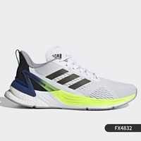 FX4832 Основная модель изображения