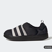GY4559