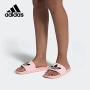 Adidas Adidas Authentic Shamrock Giày nữ 2019 Giày đi biển mới dép đi trong nhà EG8682 - Dép thể thao