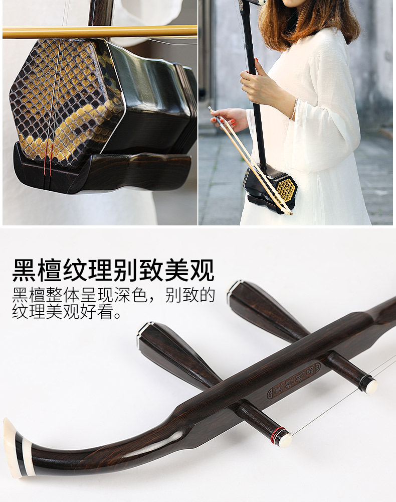 Wu Yue Thượng Hải Ebony Erhu Nhạc cụ cho người mới bắt đầu chơi Bài kiểm tra dành cho người lớn Trẻ chung sáo huân