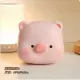Джиджи свиная музыка