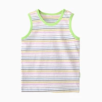 Шесть -корлорная полоса