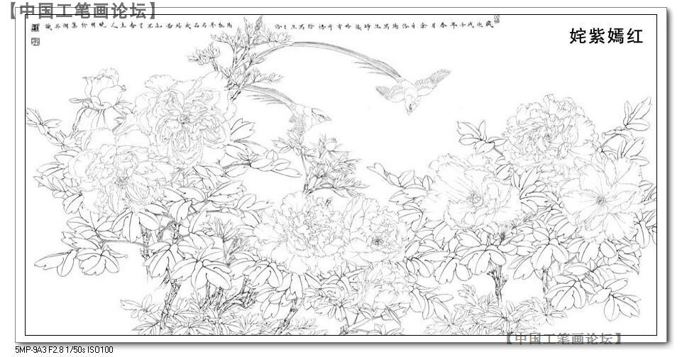 товар из китая 工笔画论坛李晓明原创工笔画底稿白描稿--姹紫嫣红（送a3彩图）
