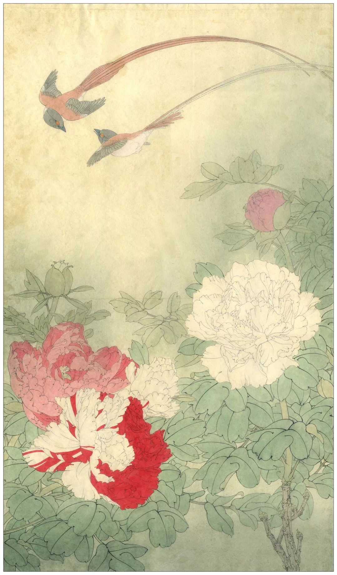 товар из китая 工笔画论坛李晓明工笔画底稿白描大稿--长寿永昌（含a3 彩图一张