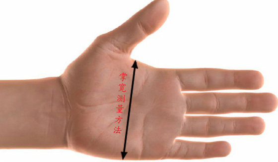 Gants de cyclisme mixte - Ref 2238798 Image 17