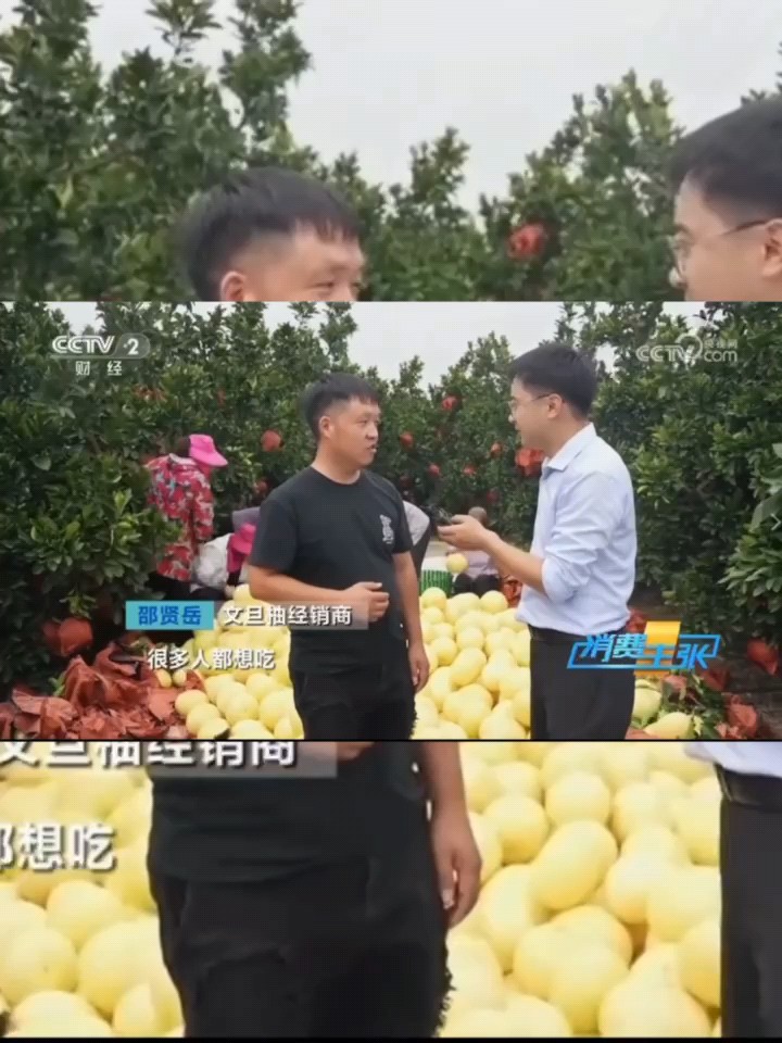 玉环启顺文旦种植专业合作社企业店的LOGO