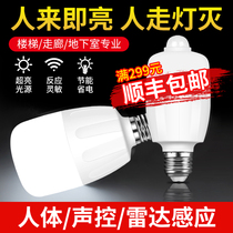 Infrared Radar Human Sensing Led Bulb Home Intelligent Acoustic Control Sound And Light Control Stairway Corridor Aisle Hallway