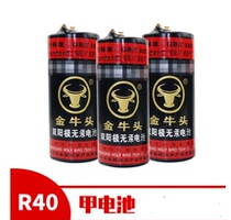 Nail battery R40 1 5V Battery Science Teaching Instrument School Scientific Research Experimental A Battery