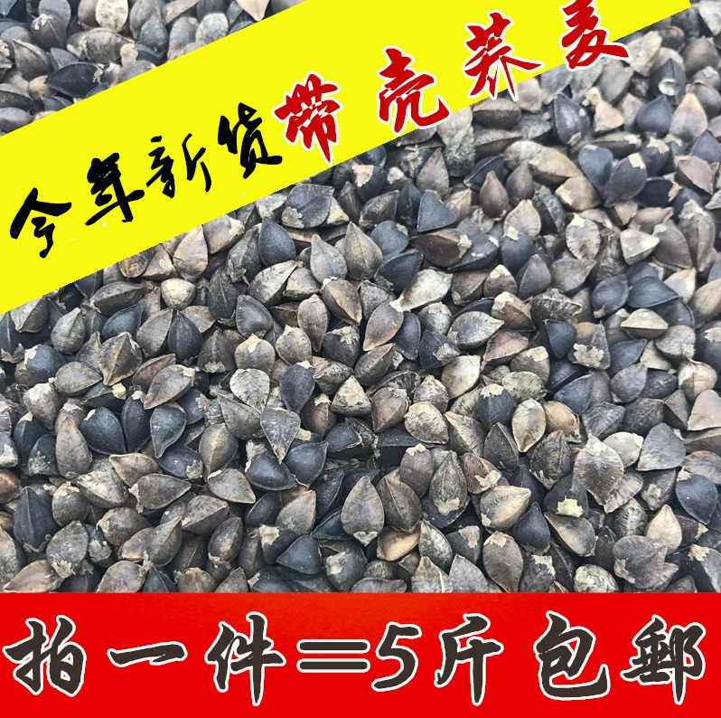 Buckwheat with buckwheat pigeon pigeon ornament pigeon parrot bird Hardware Dragon Cat grain 5 kg