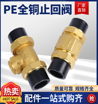 PE plumbing accessories 20 25 32 32 Double live copper check valve pe4 points 6 points 1 inch brass backstop valve check valve