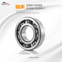 Motorcycle bearing 6304 6305 6328 6328*1 bearing series