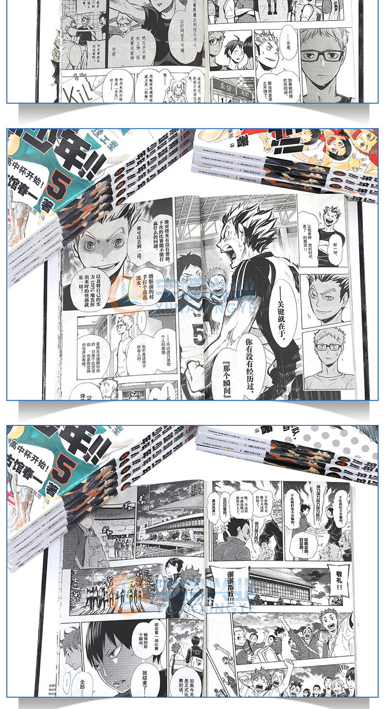 Периодические издания и журналы 正版 排球少年漫画书1-35-36-40-41-45册 排球少年总集篇漫画古馆春一著 排球少年漫画日本热血动漫小说书灌篮高手同类柒海图书