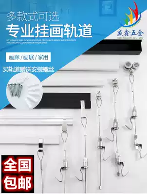 Painting hanger Track slot Hanging painting hook accessories Painting exhibition gallery Oil calligraphy and painting steel wire sling hook hanging mirror hanging painting line