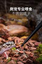 Climbing pet tweezers insect feed clip breeding box cleaning tool spider turtle yellow edge turtle feeding stainless steel clip