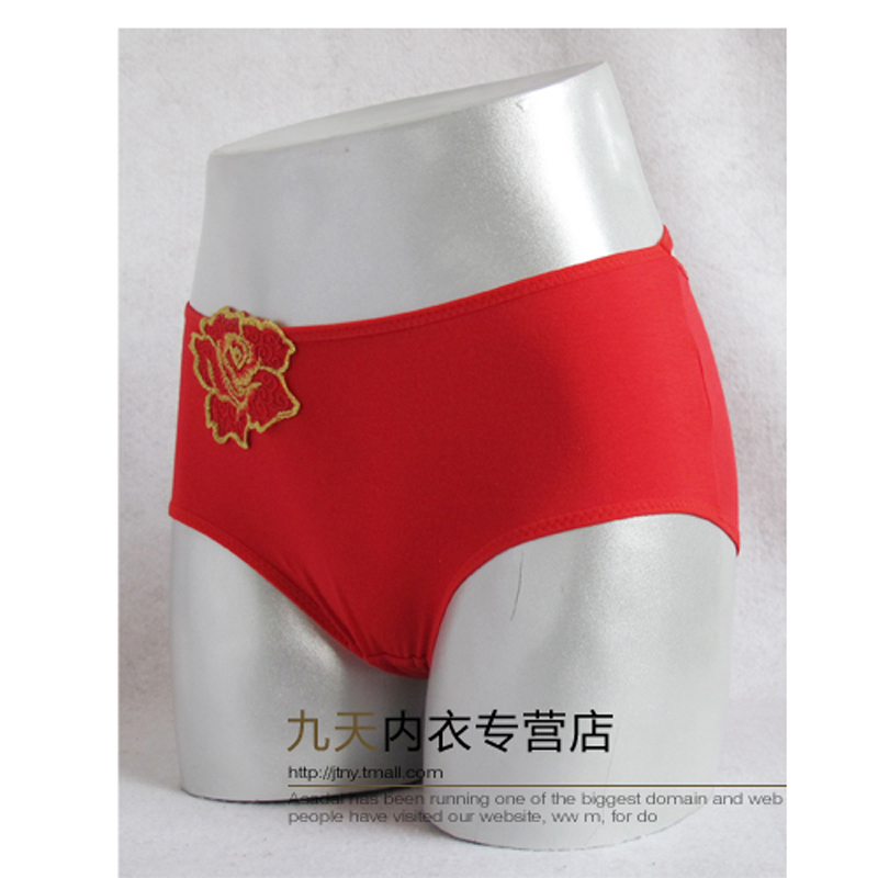 Slip jeunesse LUNILAI en coton - Ref 645855 Image 16