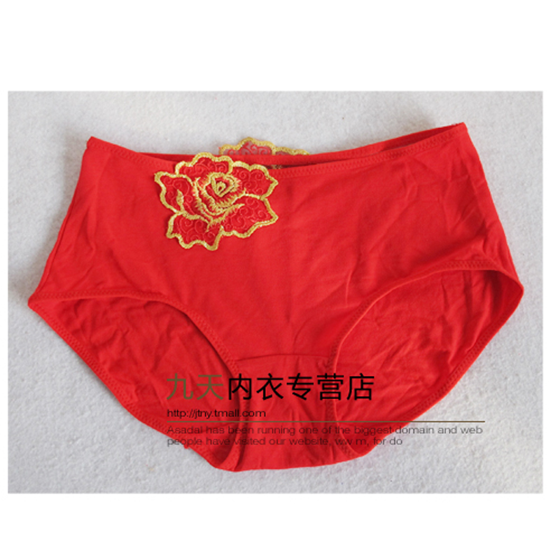 Slip jeunesse LUNILAI en coton - Ref 645855 Image 19