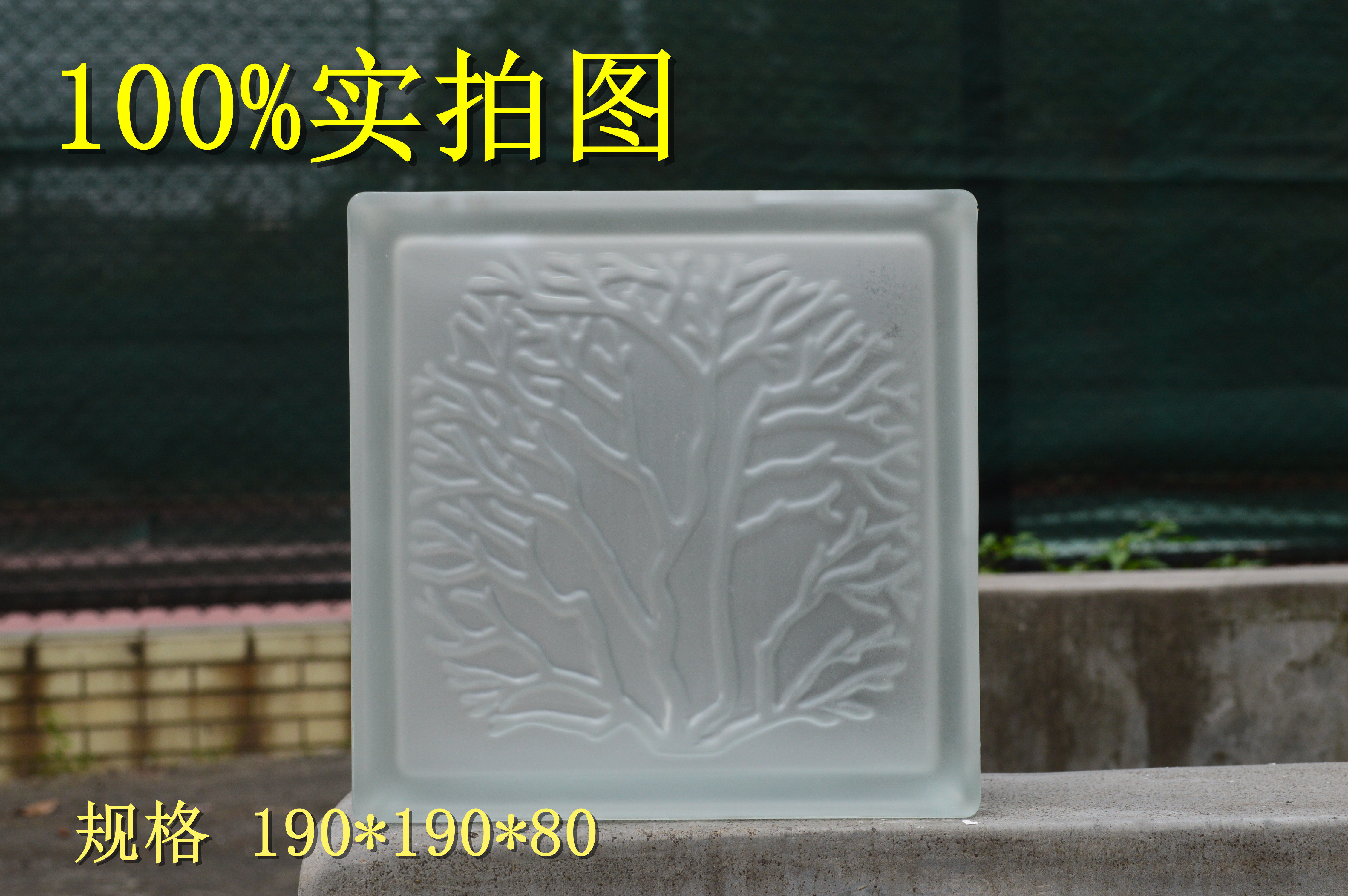 Sour Mont Coral Textured Glass Brick Partition Wall Glass Brick Makeup Room Living-room Compartment Wall Manufacturer Direct