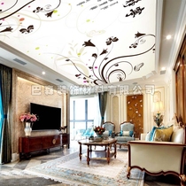 Simple UV spray painting HD soft film ceiling ceiling light transparent film led ultra thin high definition spray painted uvka cloth light box