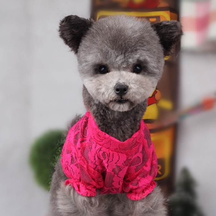 Quần áo cho chó Áo ren đáy quần áo Thú cưng gấu Teddy vật nuôi chó nhỏ và mèo quần áo - Quần áo & phụ kiện thú cưng quan ao thu cung