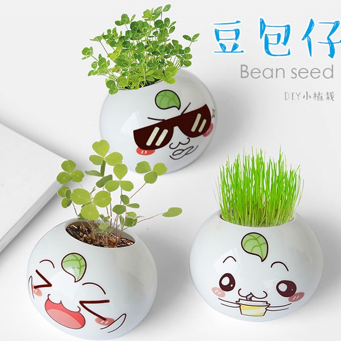 Desktop Small Potted Plant Cute Creativity Small Plant Fun Decompression Small Pendulum Grass Head Doll Children Planting Courtesy
