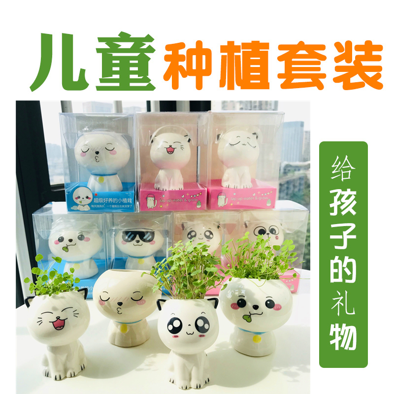 Kindergarten children plant small pot mini diy grass on the head of the head to observe plant seeds