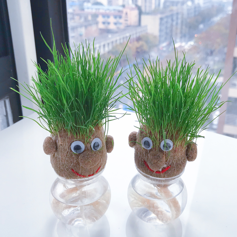 Watering grass doll head on grass grass germinating plant self-absorbing desktop baby child plant plant small pot