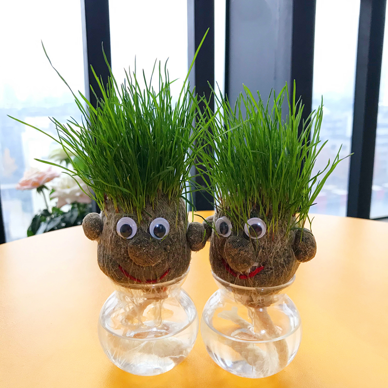 Lawn doll head on long herb dollplant children planted small plant self-suction lazy tabletop mini plant