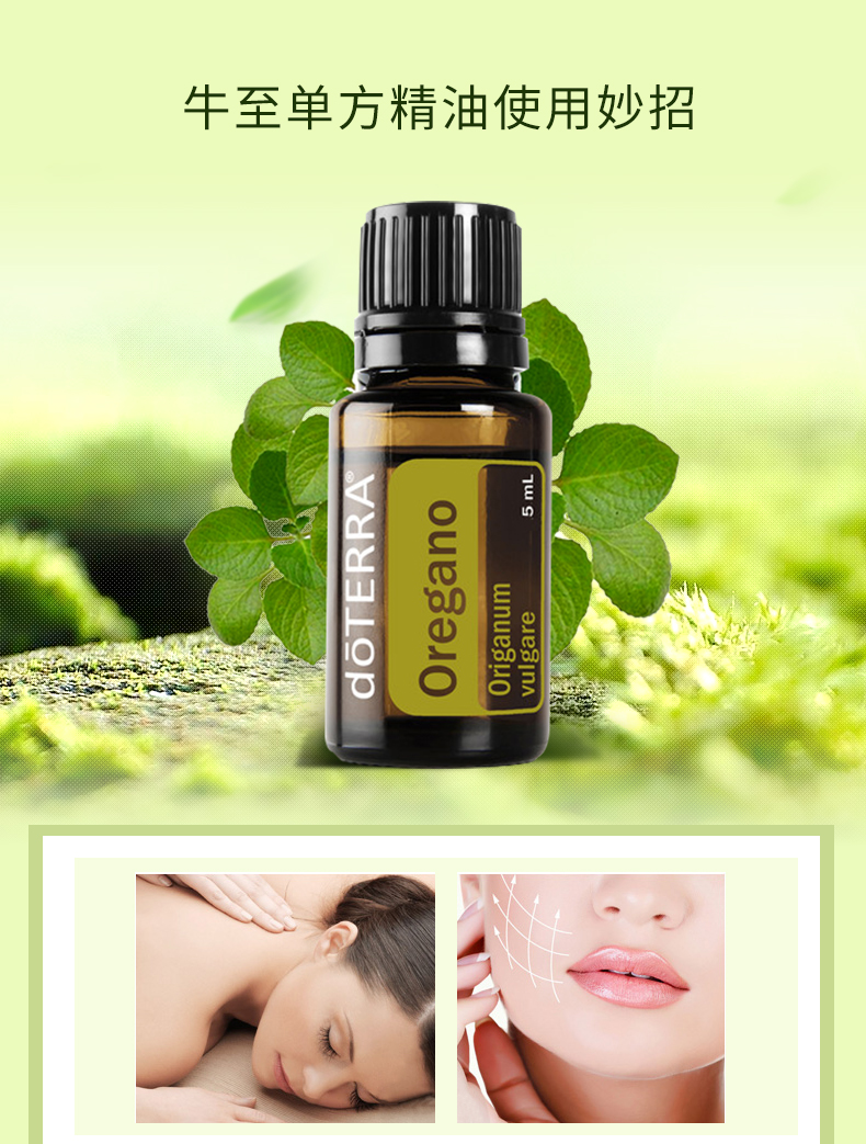 Mỹ chính hãng Dotray doTERRA Oregano tinh dầu nhập khẩu tinh dầu chống viêm diệt khuẩn - Tinh dầu điều trị dầu bưởi