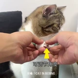 Умный автоматический чокер с лазером, автоматическая игрушка, кот, домашний питомец, избавление от скуки