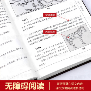 【完整无删减】山海经全集正版原版全套图解白话文学生青少年版插画图画集上古校注观山海成人版三海经图文版全本全译书籍