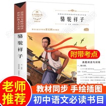 (School Designation) Luo Huoxiang Subregister must read the original copy of the old houses book camels book camels original version of the original youth version 45 6 7 Classic bibliographic first class outside reading book