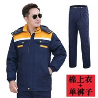 Тибетский синий с желтым плече