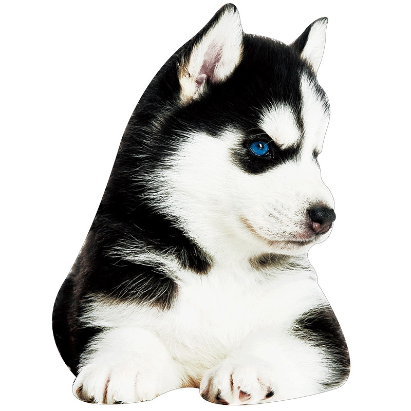 ��粹��ʶ�ͯ��ͨ�յ���ERHA