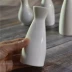 Rượu vang theo phong cách Nhật Bản shochu jug tinh khiết khách sạn trắng ba hai nồi rượu nhà nôn rượu vang khuyến mãi bộ ly uống rượu Rượu vang