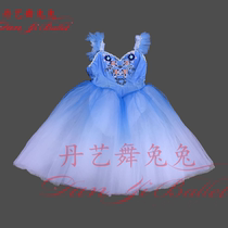 Danyi dance rabbit simple ballet performance costume long gauze skirt blue performance costume tutu skirt competition costume professional