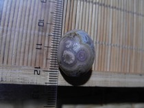 Nine Eye Shale Raw Stone Eye Stone Money Stone Dzi Beads Protection Beads