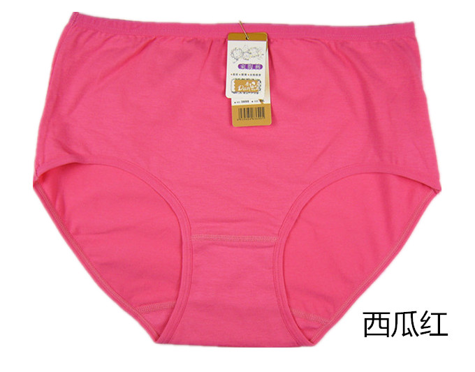 Slip simple en coton - Ref 644604 Image 33