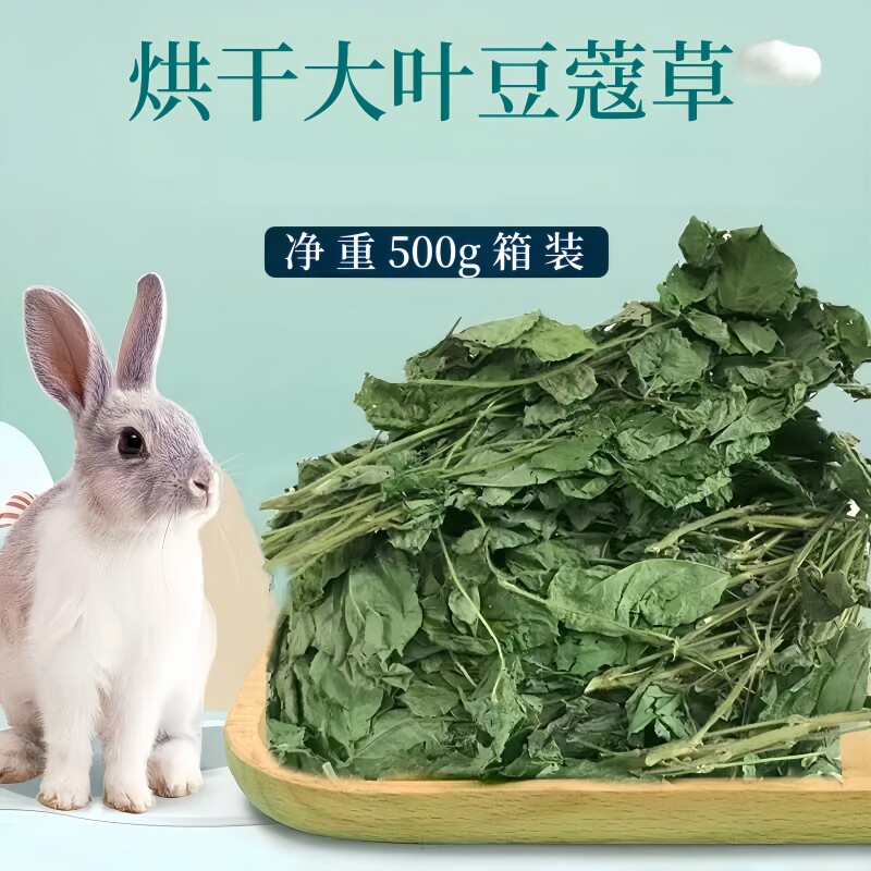 Curated visual reference: Gallery Detail: 25 Year Dried Cardamom Grass Rabbit Chinchilla Guinea Pig Hay