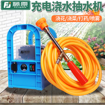 Rattan electric sprayer portable high pressure double pump beating pesticide high power multifunctional fruit tree agricultural drugbeating machine