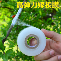 Vine Original Graft Film Fruit Tree Winding Membrane Graft Special Film Self-Adhesive Graft Free Knotting Transparent Pull Extension Film