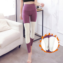 Thickened womens autumn pants high waist warm Palace knee pads waist pants warm pants wool grinding cotton pants