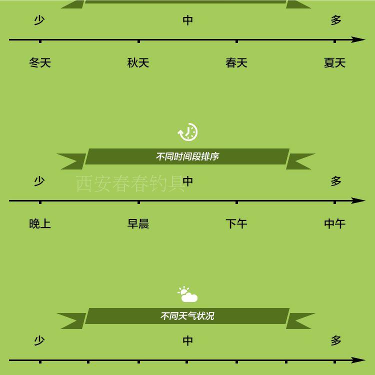 顺丰包邮与佳钓鱼小药信息素德国魔水黑坑鲫鲤