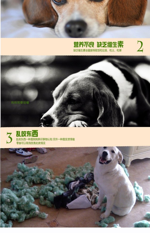 Mật ong gà ức 100G đồ ăn nhẹ cho chó / đồ ăn nhẹ cho thú cưng thức ăn cho chó cảnh