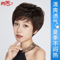 Sifu wig female short hair short curly hair wig set middle-aged and elderly real hair lady full head cover oblique bangs real hair Silk