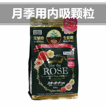 Japanese imported rose rose rose rose rose flower special internal sucking family gardening prevention
